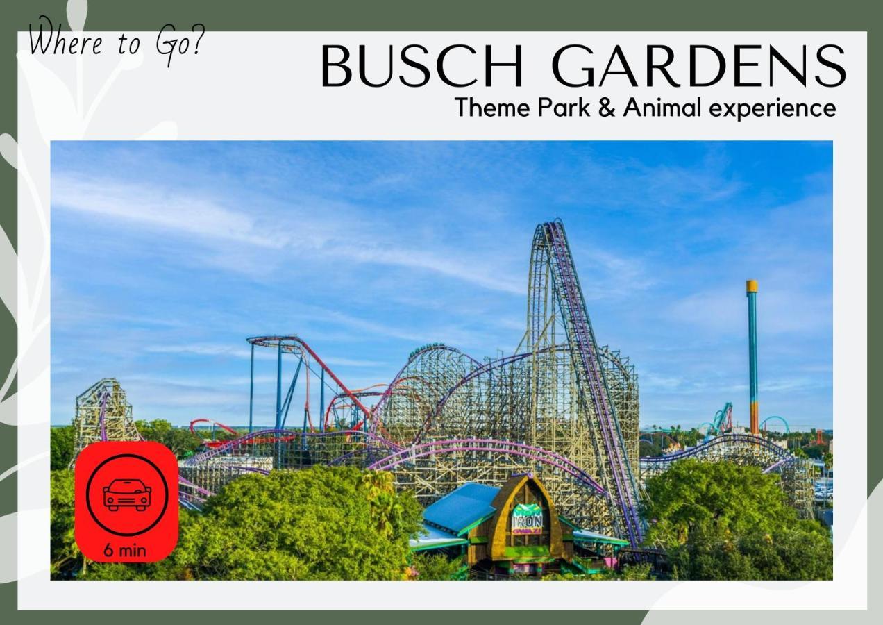 Cozy In Near Ybor & Busch Gardens Holiday home *