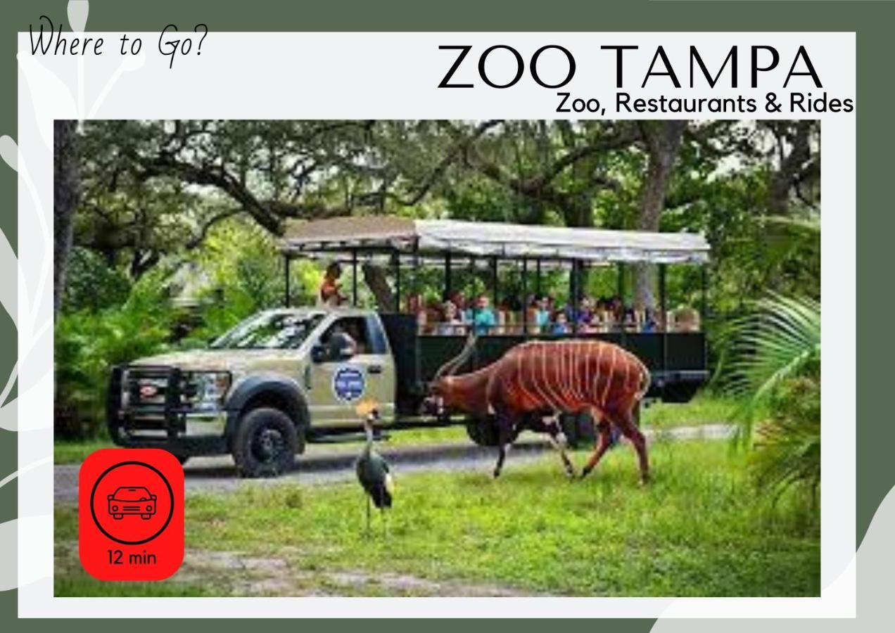 Cozy In Near Ybor & Busch Gardens Holiday home Tampa